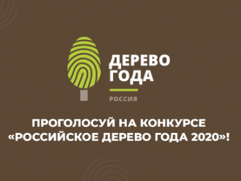 ������������ ������� "���������� ������ ���� 2020"