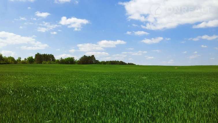 ��������� ����� �� ������� ��������� �������� ��� ������� ��������� ��������� � �������� ������ ������������ �������