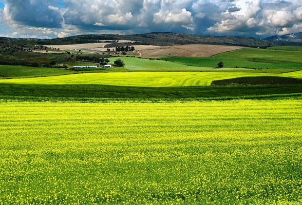 ����� ����� ����� �������� ����� ������������� ������ �������� ������������ �������