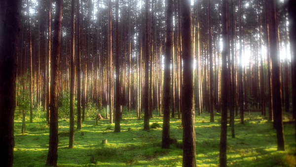 385 �������� ����� ������������� ������������������ ����������� 