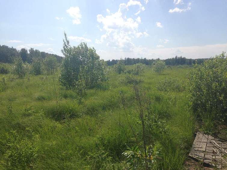 � ������ ��������� ������� ������� � ������������ ������� �� ������� �������������� ��������� �������� �� ���������� �. �������