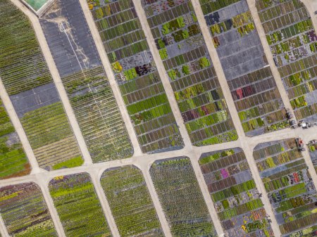 ������� ����� ������������ � ���������������� ������������ ����������� ������ ������ �������