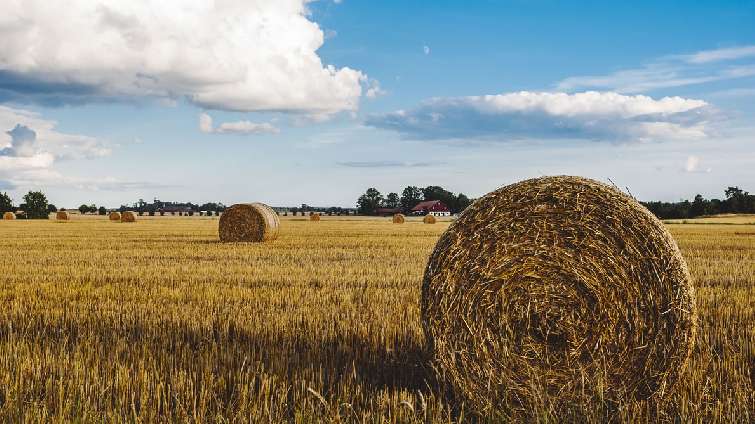 ������ � ���������� � ���������� ����������� ������ ������ ������������ �������