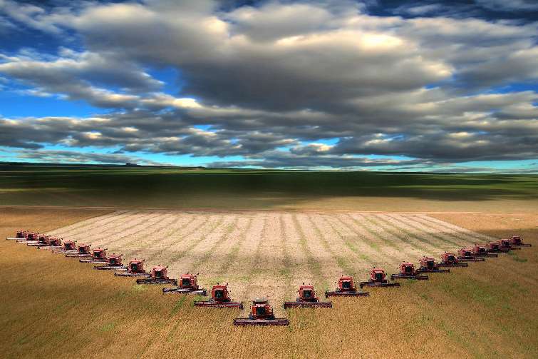 � 2015 ���� �����O �������� � ����c��������������� ������ � ������ ���� ������ ������, ��� � 2014 